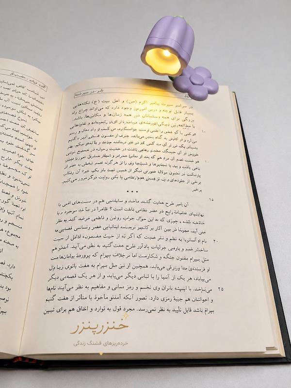 چراغ مطالعه گیره دار طرح گل