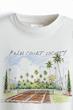 Palm court Society V1