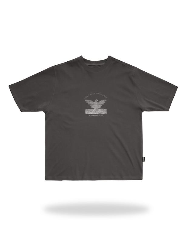 تیشرت ۲ رو صلح (PEACE TSHIRT)