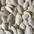 تخم کدو گوشتی رژیمی