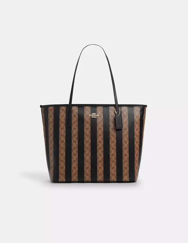 توت بگ برند Coach