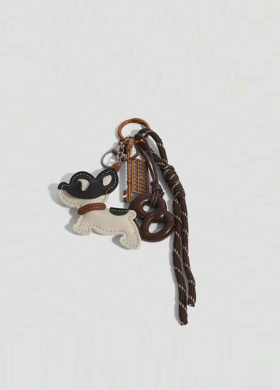 اکسسوری کیف یا کلید