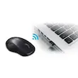 mouse optical rapoo wireless1620