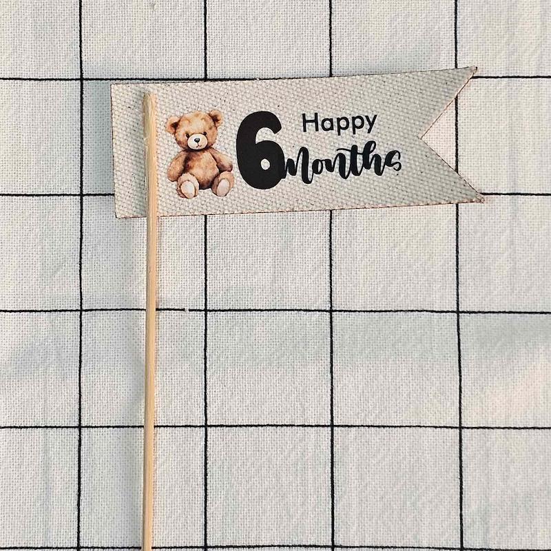 تاپر شش ماهگی تدی