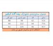 ست تی شرت و شلوارک اوور سایز بچه گانه گلبهی-سورمه ای کیکمو مدل ریلکس تدی