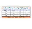 ست تی شرت و شلوارک اوور سایز بچه گانه کیکمو مدل ریلکس تدی