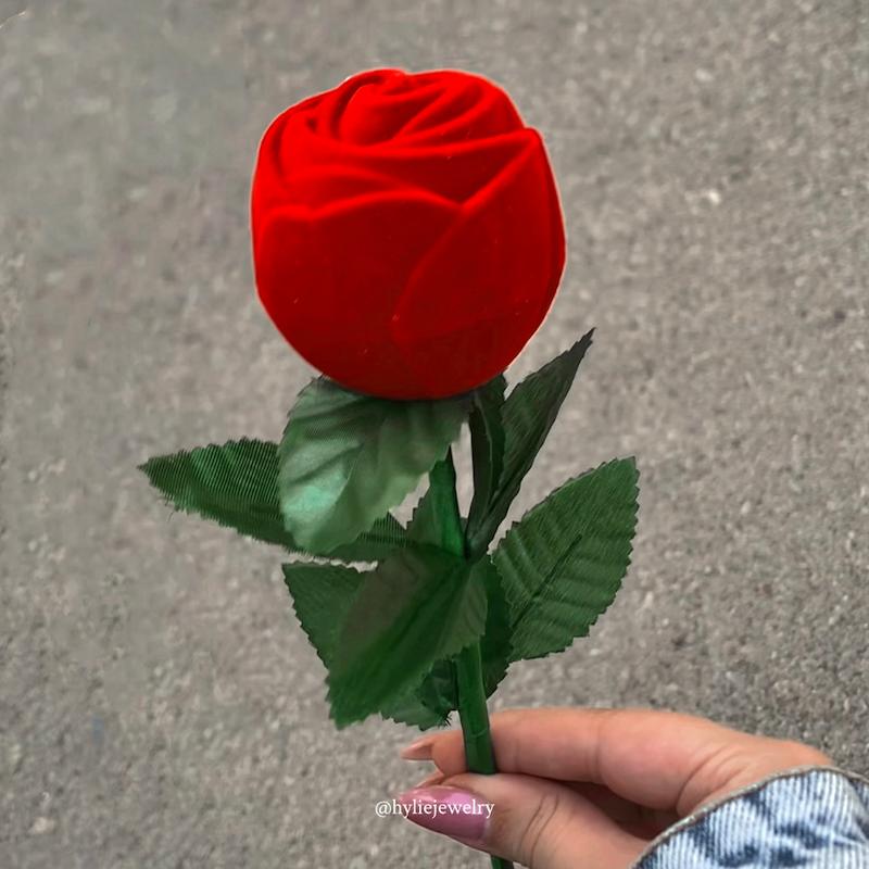 حلقه قلب / جعبه شاخه گل رز (جداگانه)