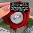 حلقه قلب/جعبه شاخه گل رز(جداگانه)