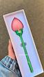 جعبه گل لاله وارداتی/حلقه (جداگانه)