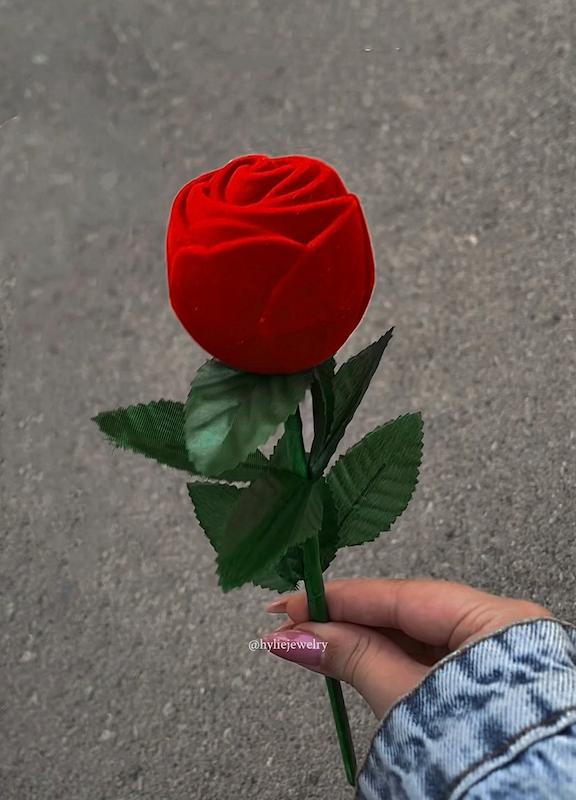 جعبه شاخه گل رز / حلقه قلب (جداگانه)