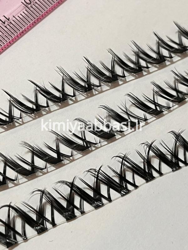 فاکس لوکسی (چشم چپ و راست روی یک ریسه)