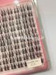 پالت انیمه cc11