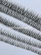 کد 729 مژه مرلین عروسکی فر Cc