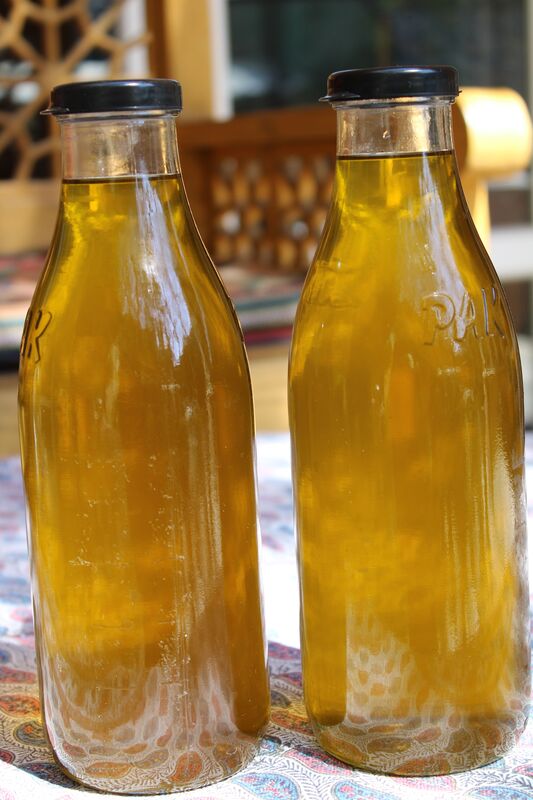 Olive Oil from Rudbar