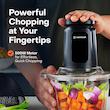 خردکن نوتریکوک مدل CH2000 ظرفیت ۲ لیتر | Nutricook Choppi XXL