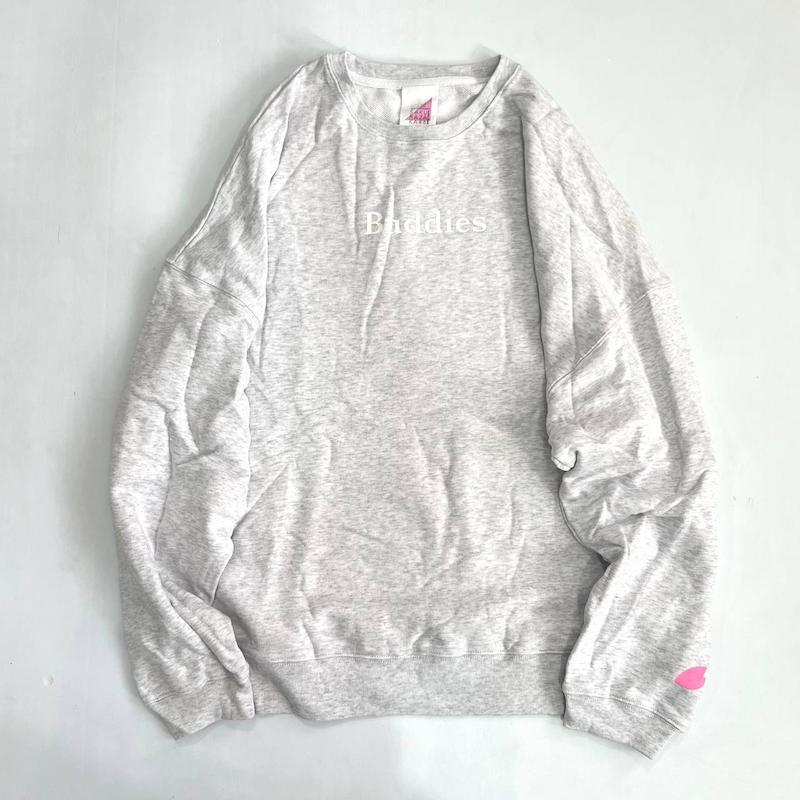 دورس طوسی روشن