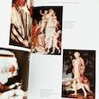 The Louvre: European Paintings 