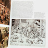The Complete Paintings of Pieter Bruegel