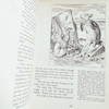 The Annotated Alice by Lewis Carroll 