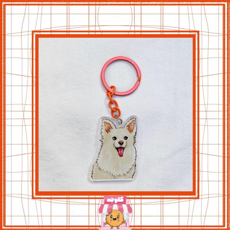 جاسوئیچی‌ طرح هاپو