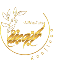 فروشگاه محصولات طبیعی کنجینو تولید کننده نمونه سال 