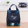 کیف غذای سرمه ای