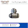 زانوگردان مهره ای بانجویی