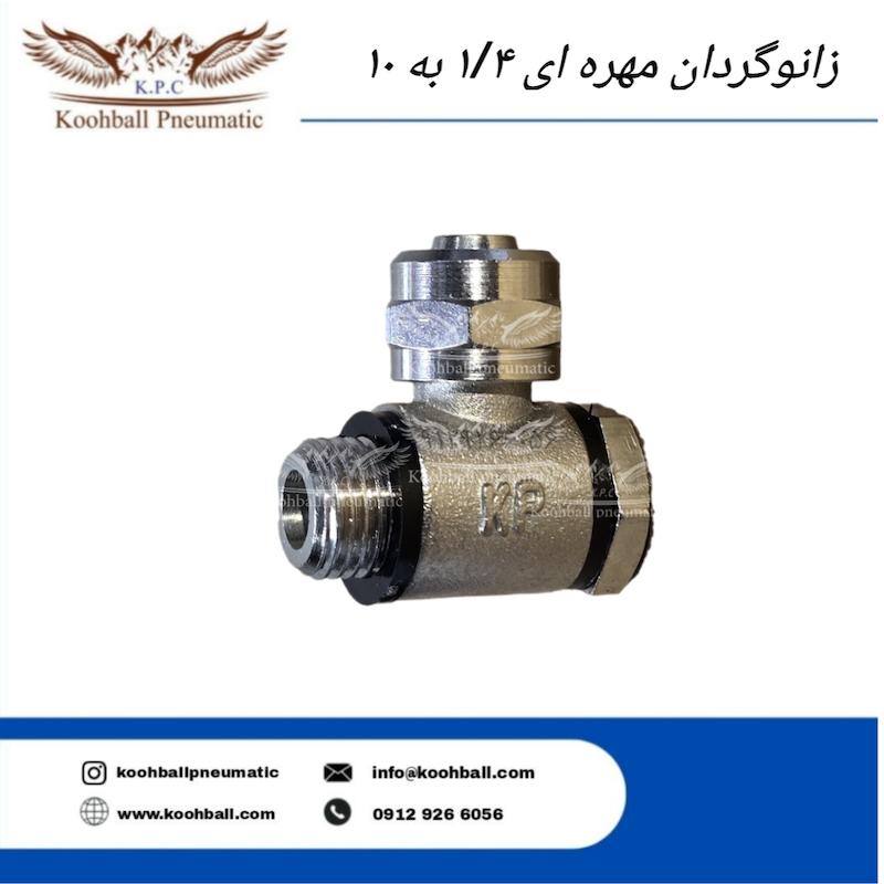 زانوگردان مهره ای بانجویی