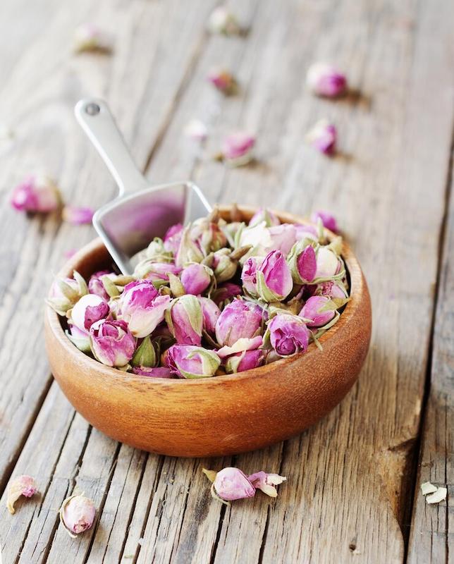 غنچه گل سرخ ممتاز  کوه دانه