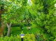 اجاره سالیانه باغ ویلا دوبلکس با درختان قدیمی