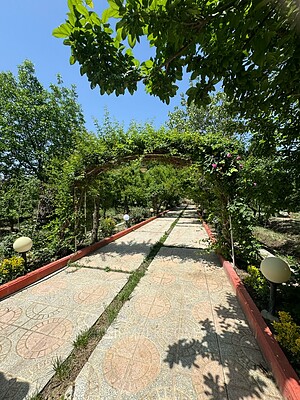 فروش باغ ویلا با درختان قدیمی و متنوع در یبارک شهریارCode:066