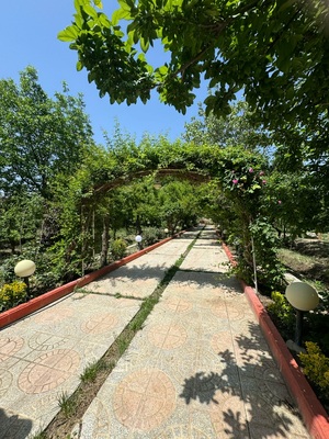 فروش باغ ویلا با درختان قدیمی و متنوع در یبارک شهریار 