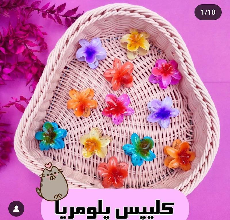 کلیپس پلومریا کوچک 