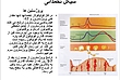 پاورپوینت فیزیولوژی قاعدگی 