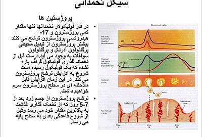 پاورپوینت فیزیولوژی قاعدگی 