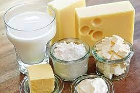 جزوه میکروبیولوژی لبنیات دکتر محمدی ثانی