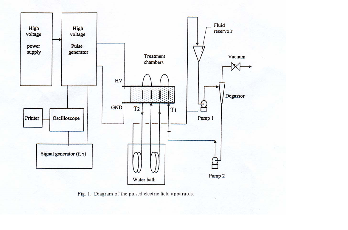 میدان الکتریکی پالسی Pulsed Electric Field