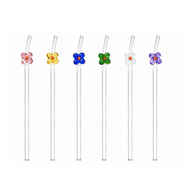 نی شیشه‌ای گلوریا (Gloria Glass Straw) ست 6 عددی