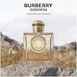 عطر زنانه باربری گادس اینتنس