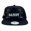 کلاه کپ کرم بک فیت مدل DANDY