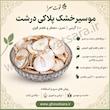 موسیر خشک پلاکی درشت ۱۰۰ گرمی | معطر و تمیز قوت‌سرا