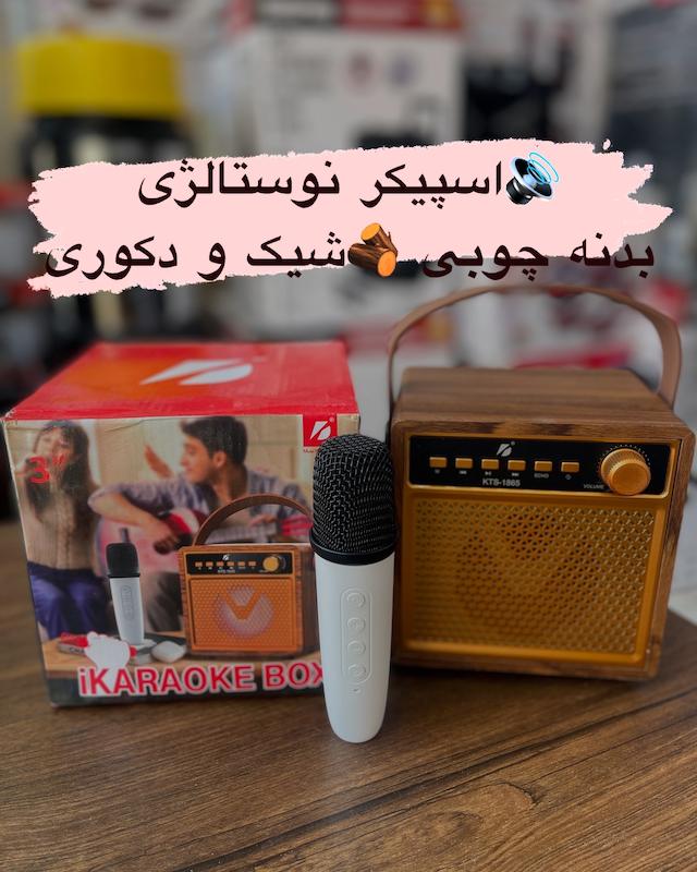 اسپیکر چوبی KTS-1865