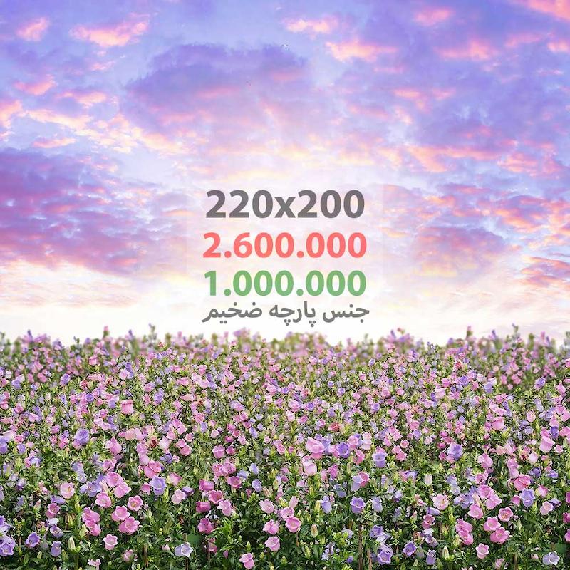 8888