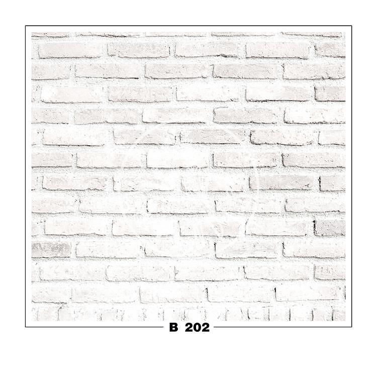 B 202