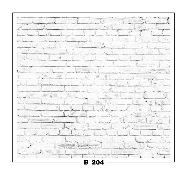 B 204