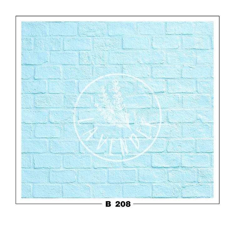 B 208