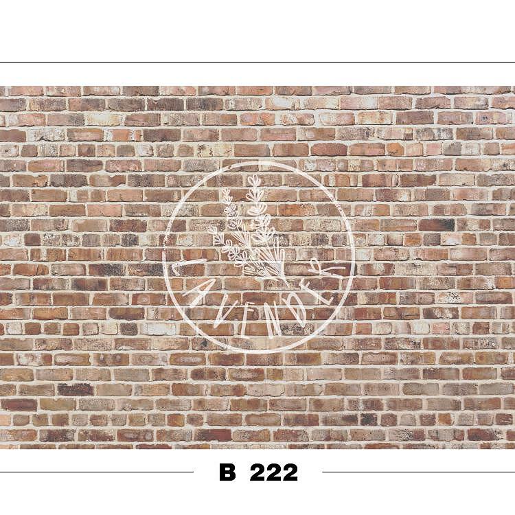 B 222