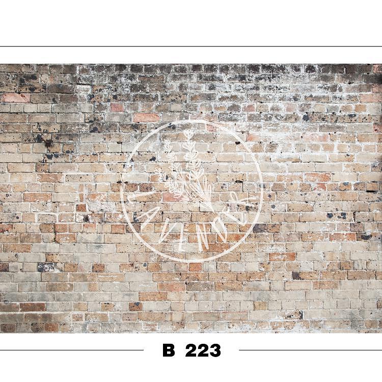 B 223