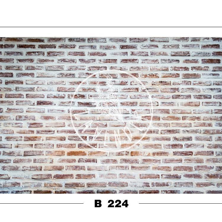 B 224
