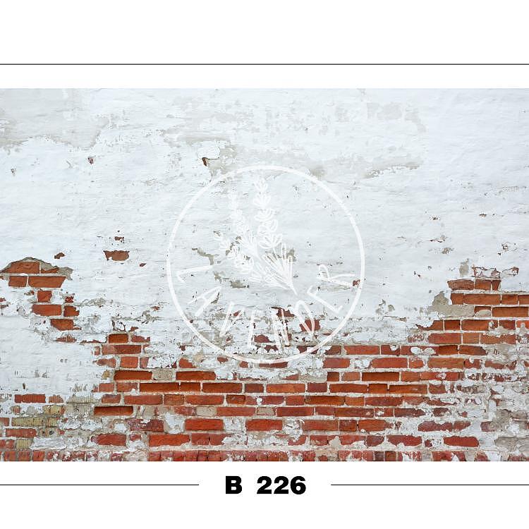 B 226